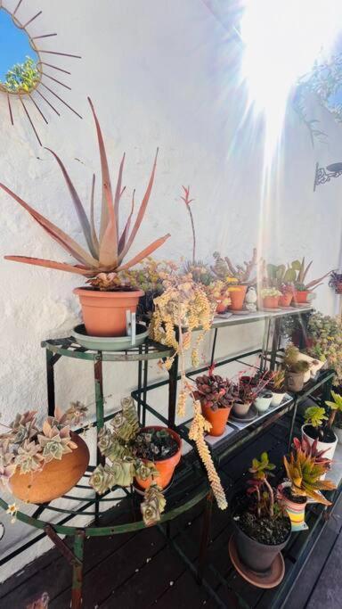 Le Jardin Du Roucas Apartment